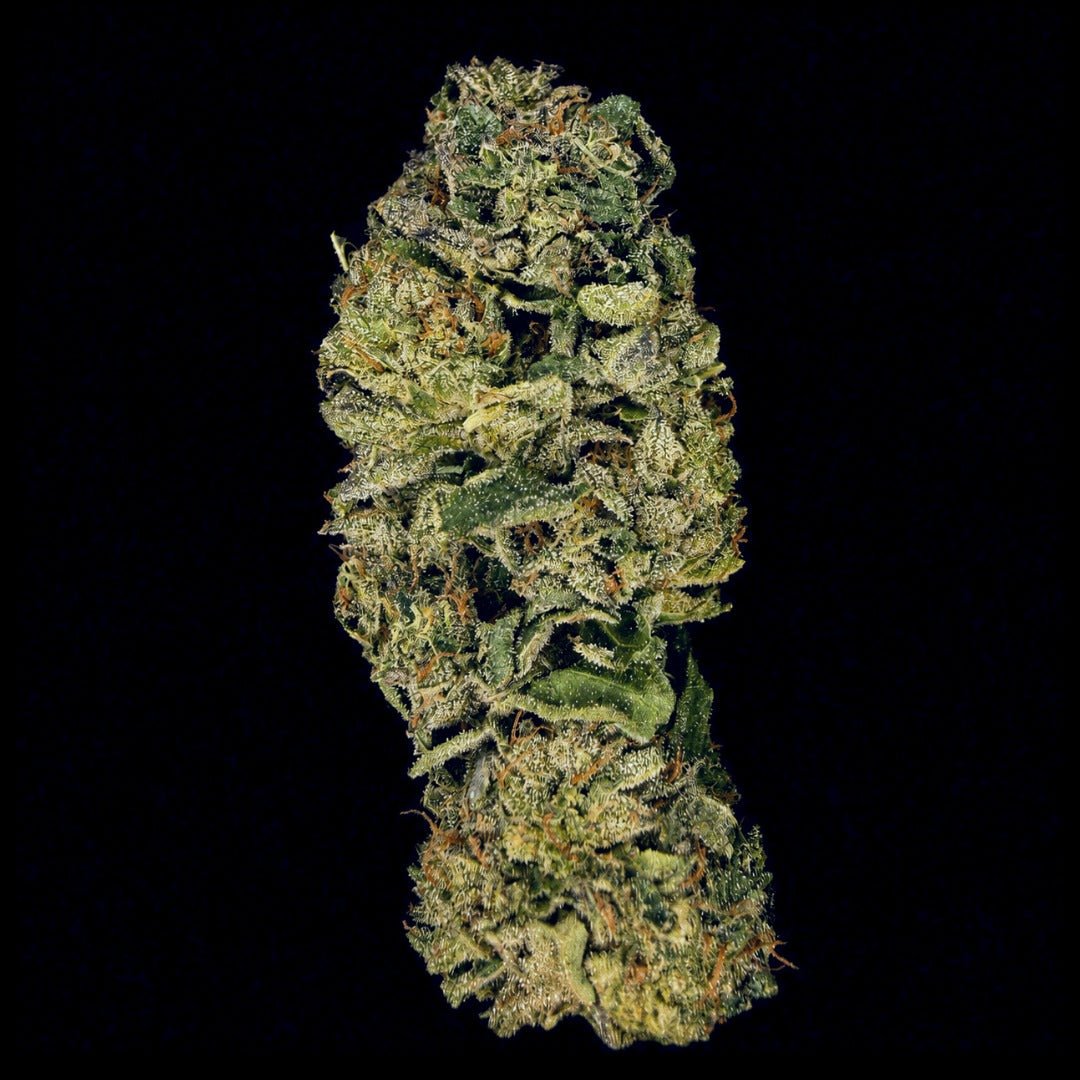 Rainbow Belts THCA Flower - Lost In Translation