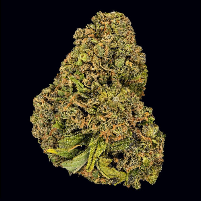 Fire OG THCA Flower - Lost In Translation
