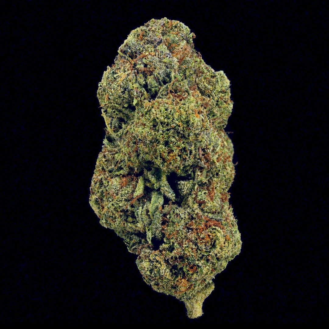 Highlighter THCA Flower - Lost In Translation