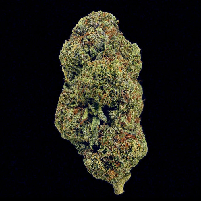 Highlighter THCA Flower - Lost In Translation