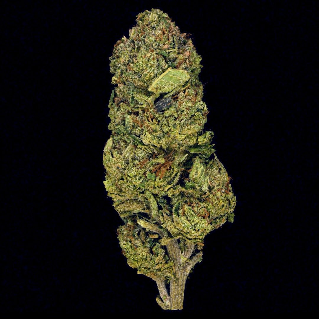 Super Chronic THCA Flower - Lost In Translation