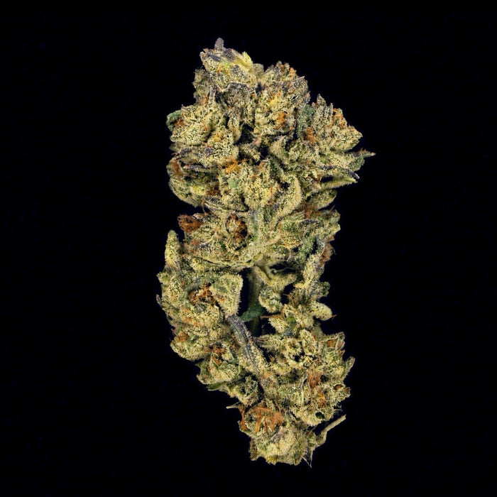 Fire OG THCA Flower - Lost In Translation