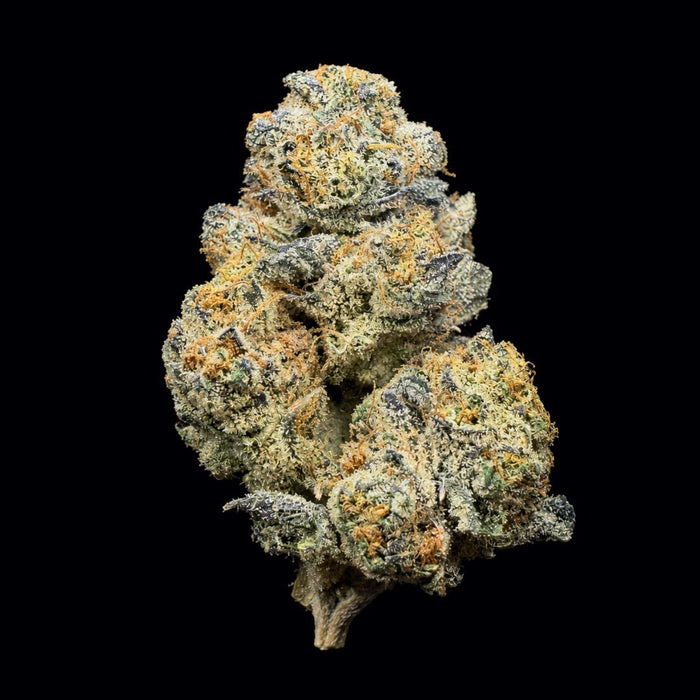 Bath Saltz THCA Flower - Lost In Translation