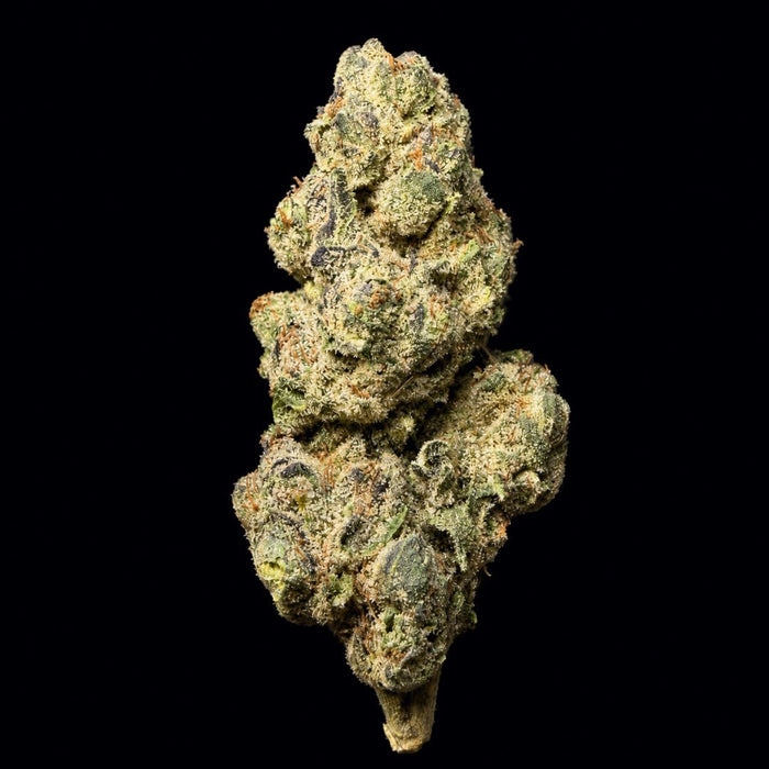 Pluto 85 THCA Flower - Lost In Translation