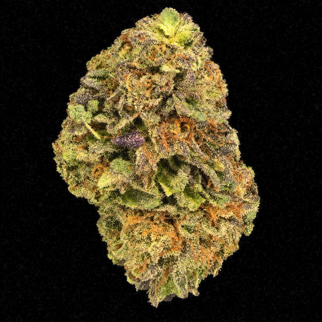 Candi Paint THCA Flower - Lost In Translation