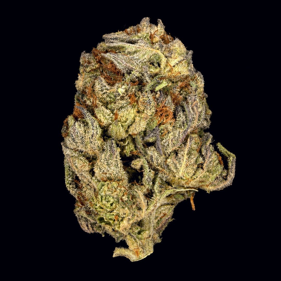 Motor OG THCA Flower - Lost In Translation