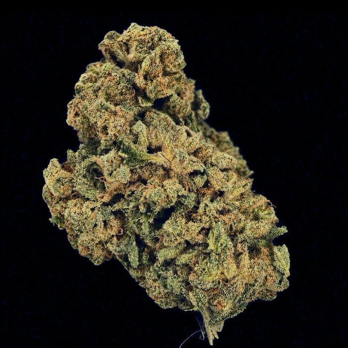 Petrol Pie THCA Flower - Lost In Translation
