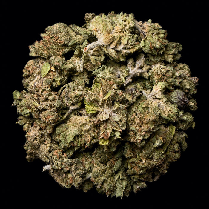 Watermelon Zkittlez THCA Flower