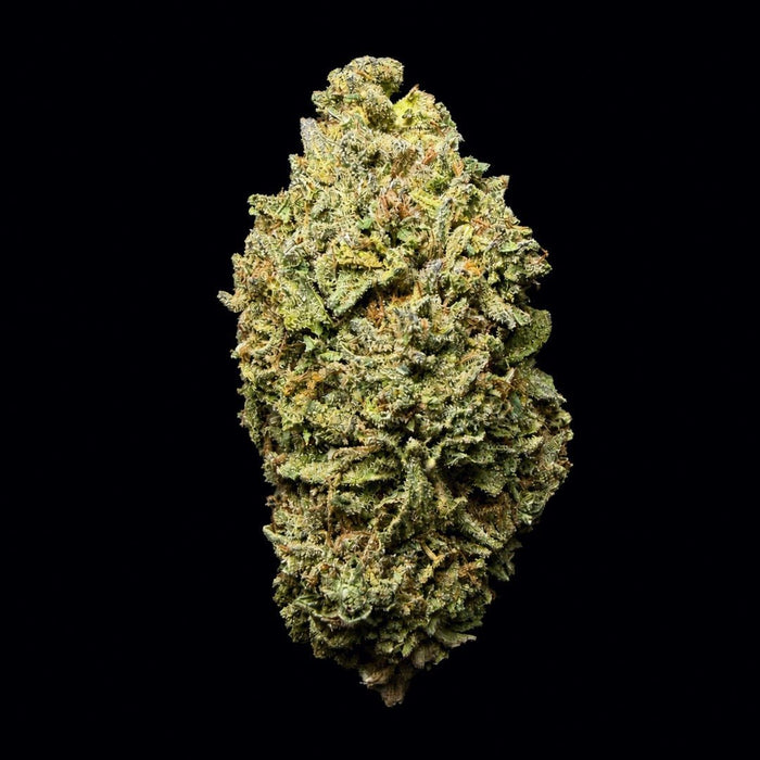 Pink Pluto THCA Flower - Lost In Translation