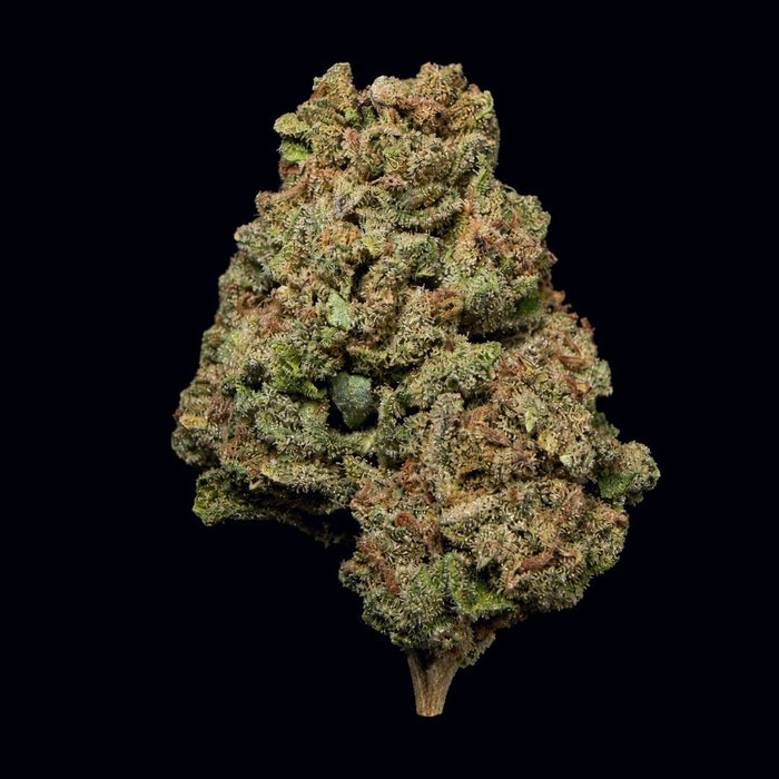 Blackberry Kush THCA Flower - Lost In Translation