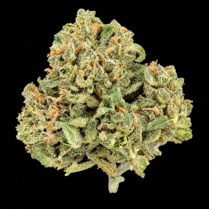 Gas Face THCA Flower - Lost In Translation