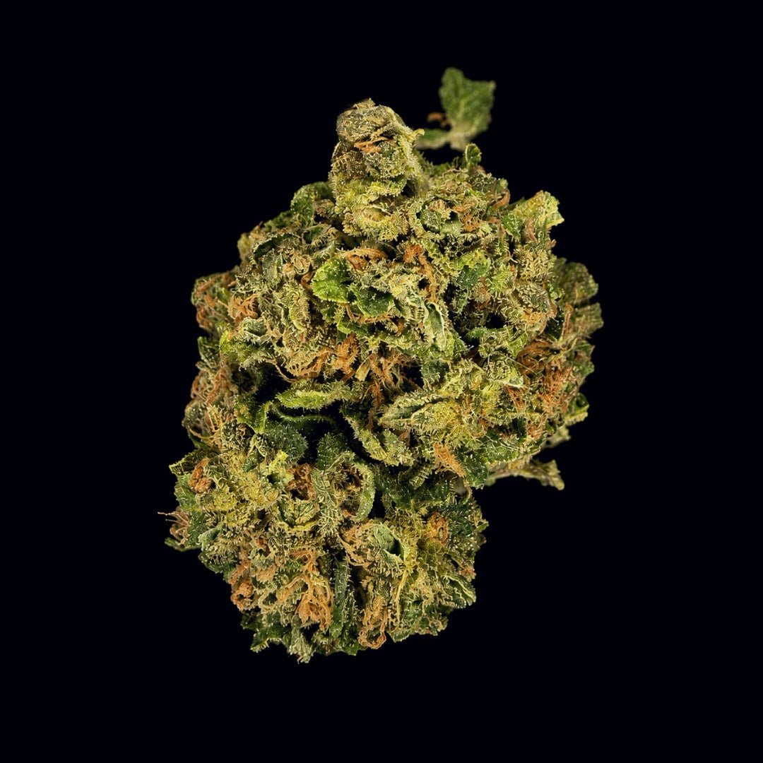 Sour Apple THCA Flower - Lost In Translation