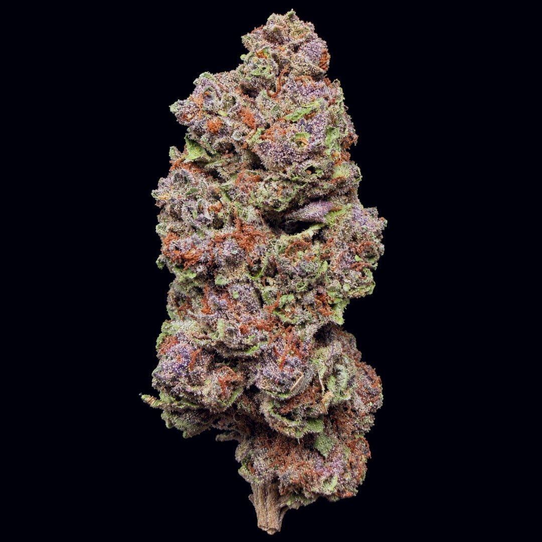 Tropical Runtz THCA Flower - Lost In Translation