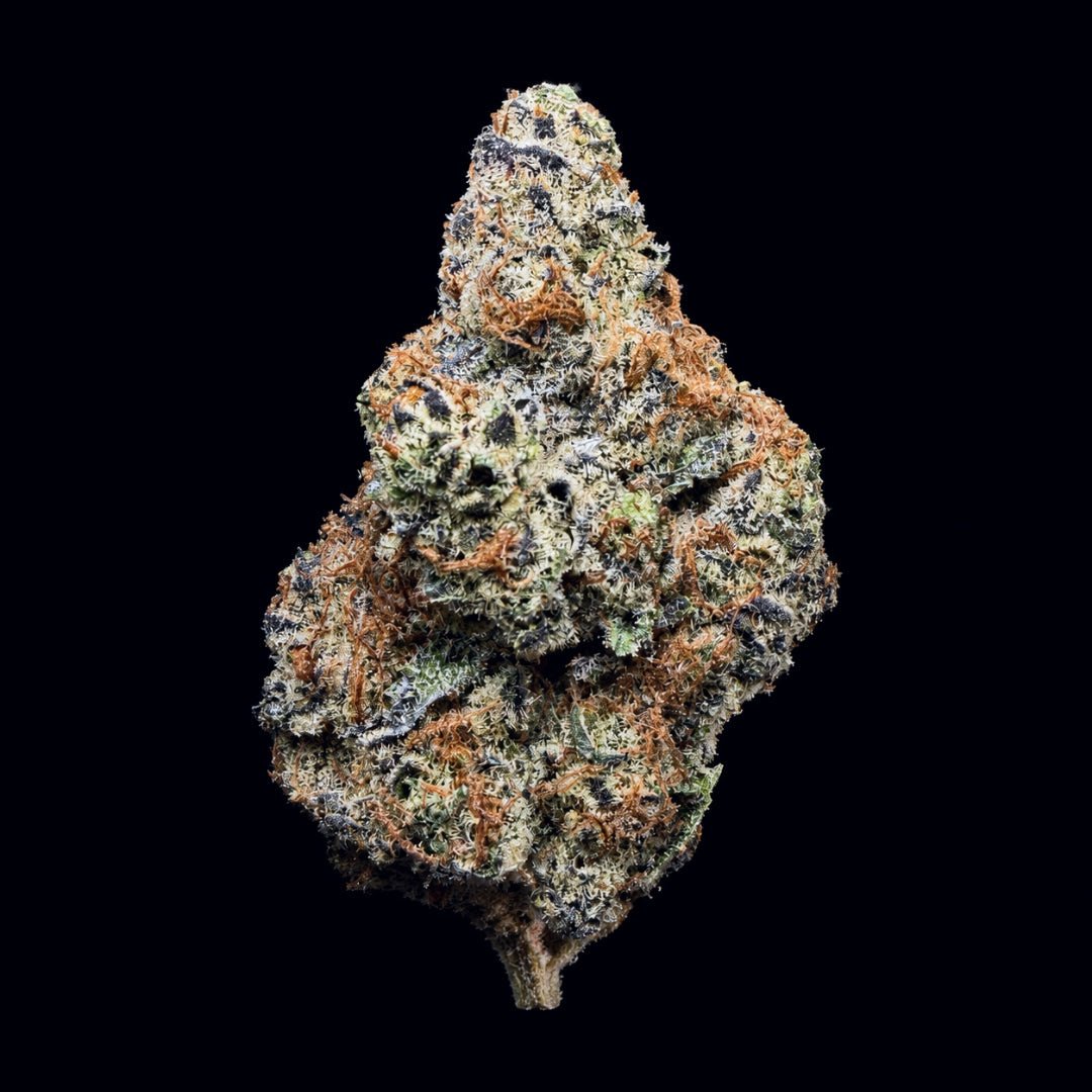 Grape Cream Cake THCA Flower - Lost In Translation