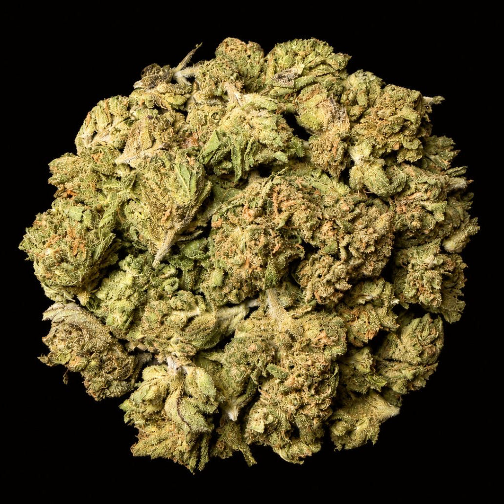Lemon OG THCA Flower - Lost In Translation