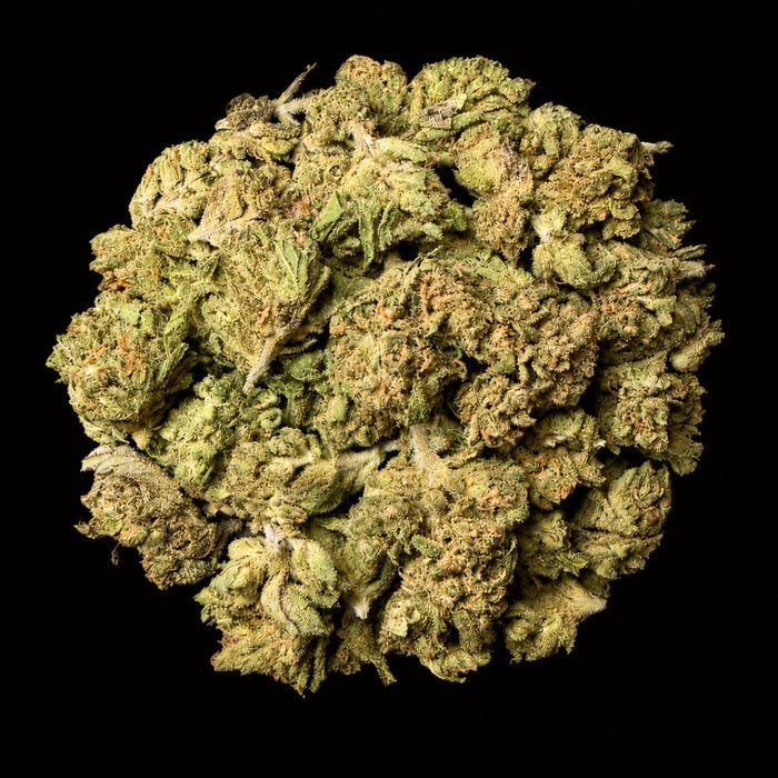 Lemon OG THCA Flower - Lost In Translation