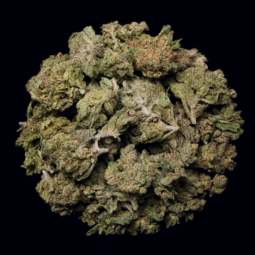 Pink Grapefruit THCA Flower - Lost In Translation