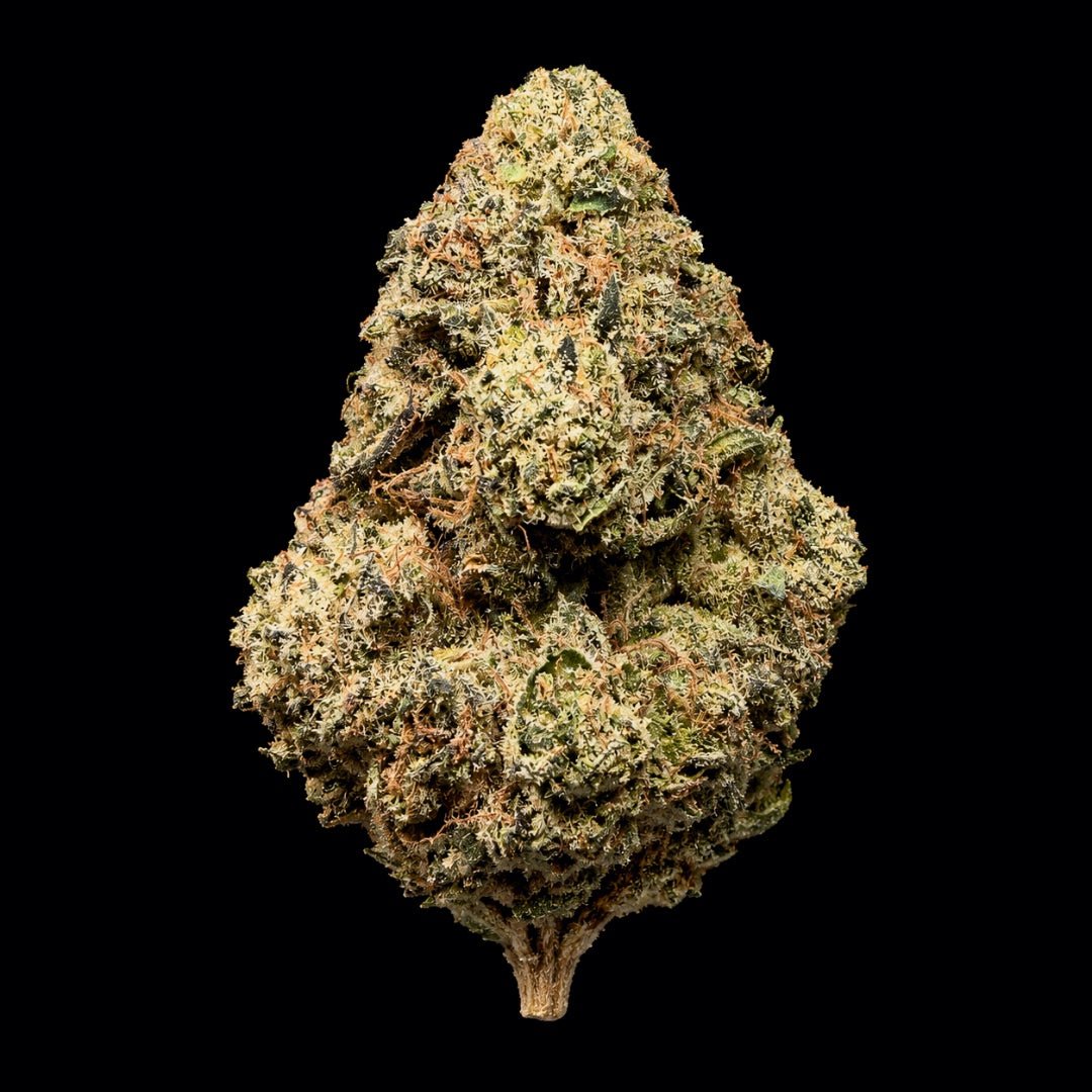 Bubblegum Runtz THCA Flower - Lost In Translation
