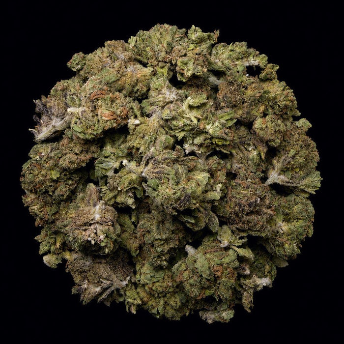 Dulce Cream THCA Flower - Lost In Translation