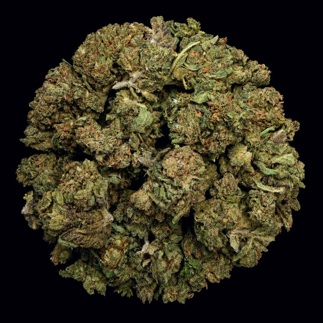 Carbon Fiber THCA Flower - Lost In Translation