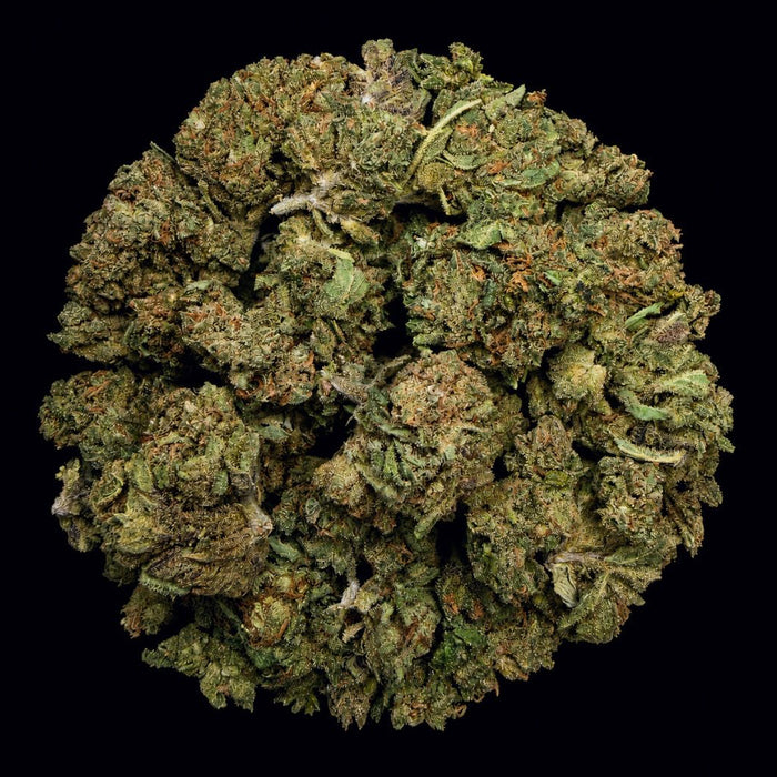 Carbon Fiber THCA Flower - Lost In Translation