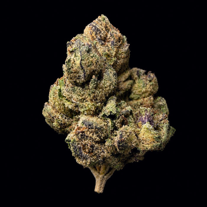Jealousy THCA Flower - Lost In Translation