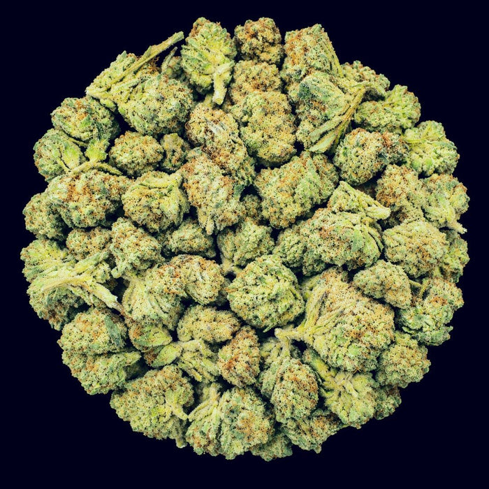 Super Runtz THCA Flower