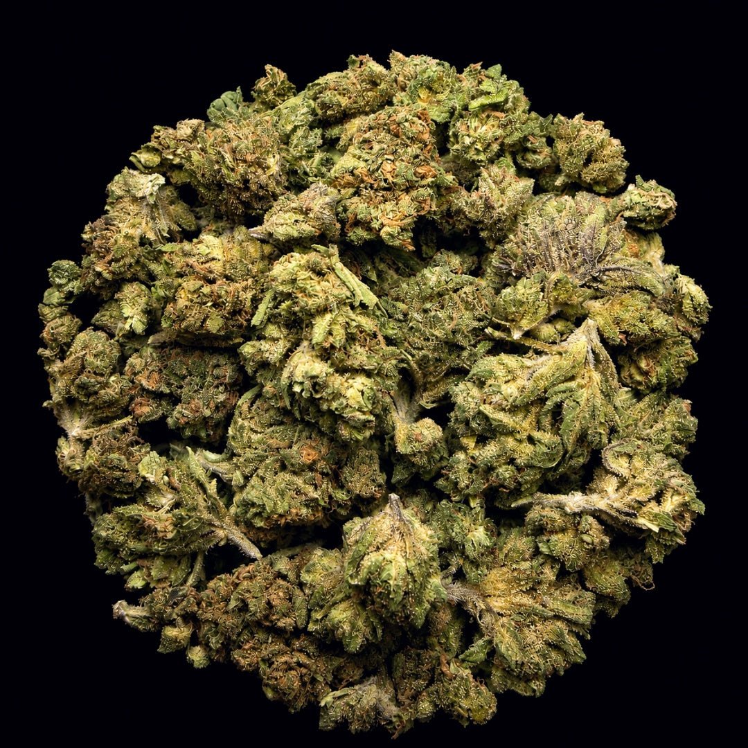 Grape Cream Cake THCA Flower - Lost In Translation
