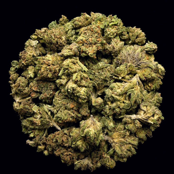 Grape Cream Cake THCA Flower - Lost In Translation