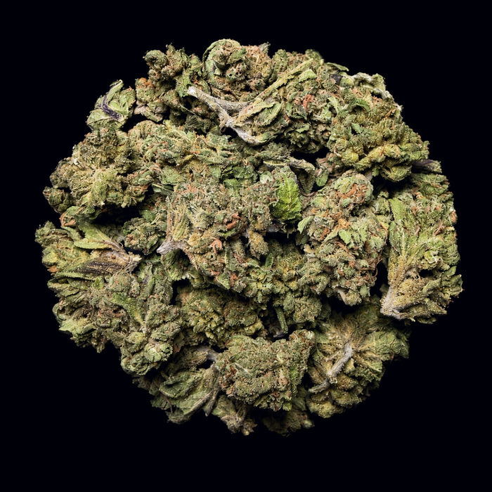 Runtz OG THCA Flower