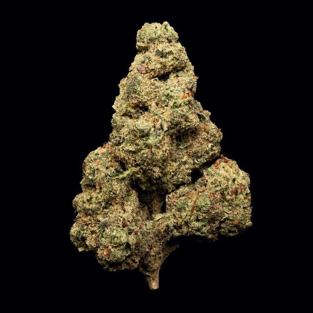 Sin City THCA Flower - Lost In Translation