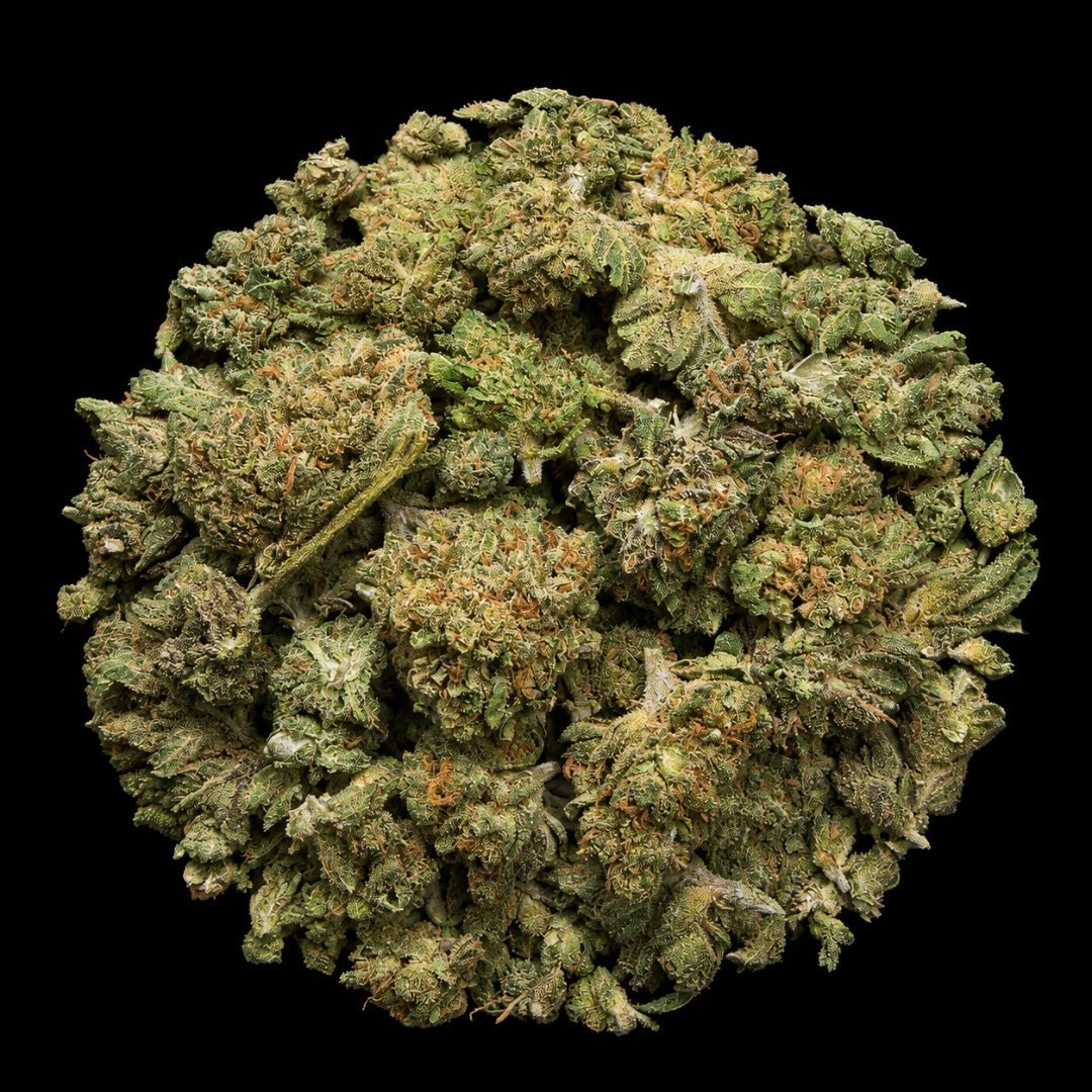 Formula One THCA Flower - Lost In Translation