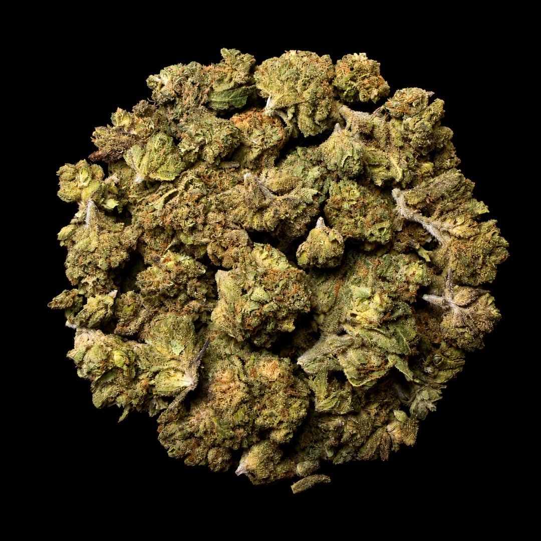 White Runtz THCA Flower - Lost In Translation