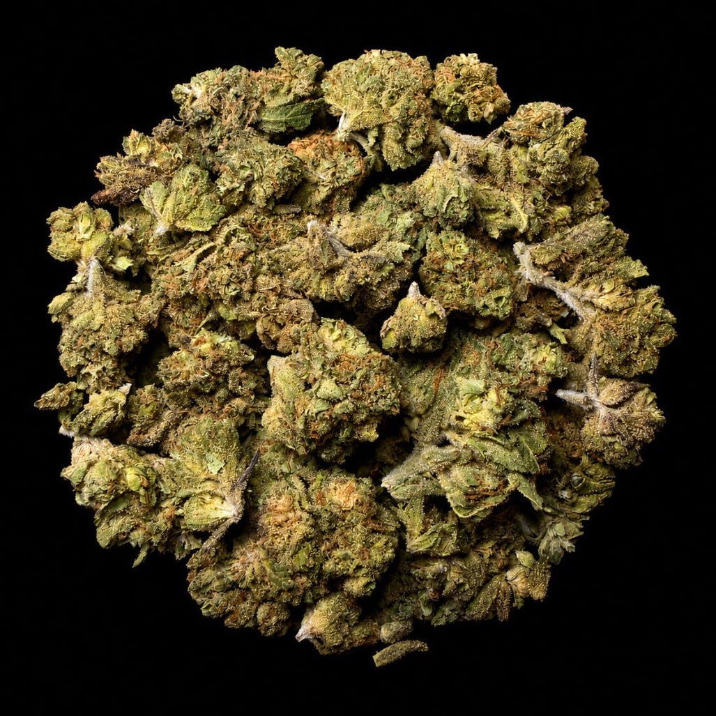 White Runtz THCA Flower - Lost In Translation