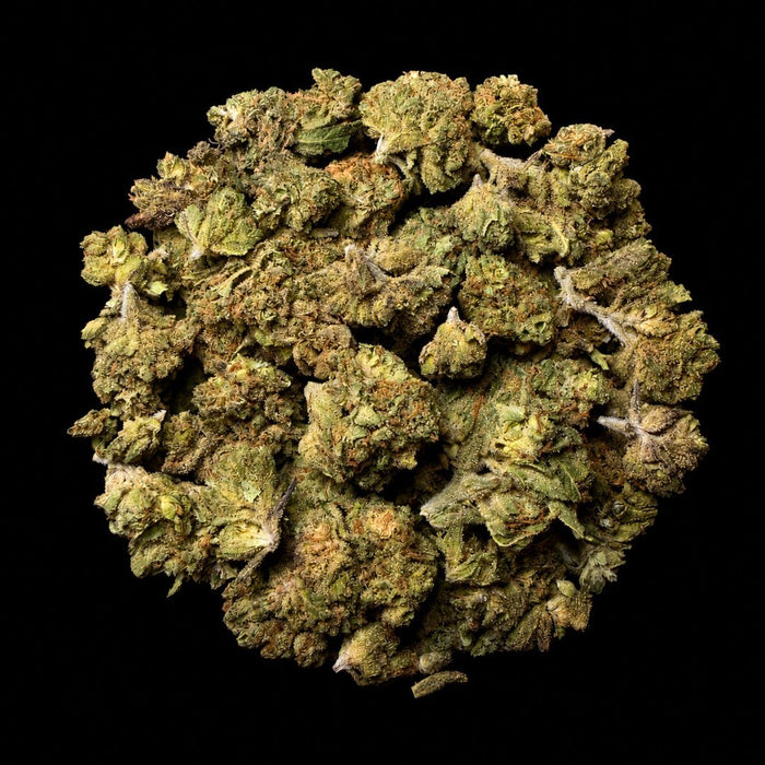 White Runtz THCA Flower - Lost In Translation