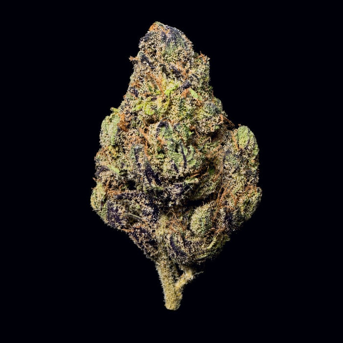 Nightmare Runtz THCA Flower - Lost In Translation