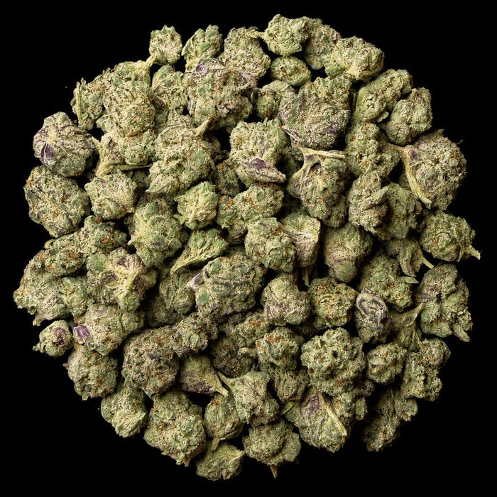 Blue Halo THCA Flower - Lost In Translation
