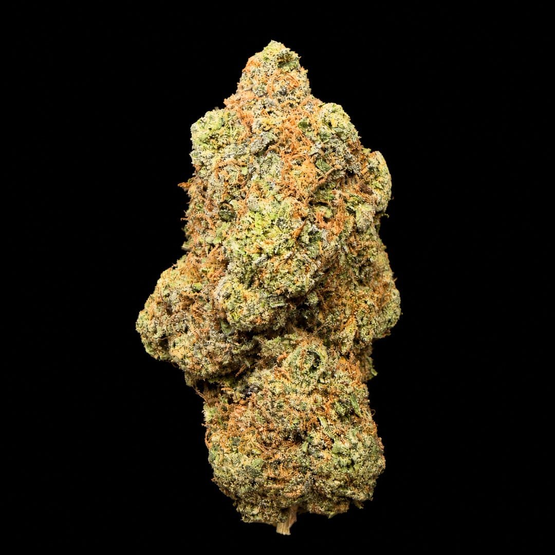 Sherbert THCA Flower - Lost In Translation