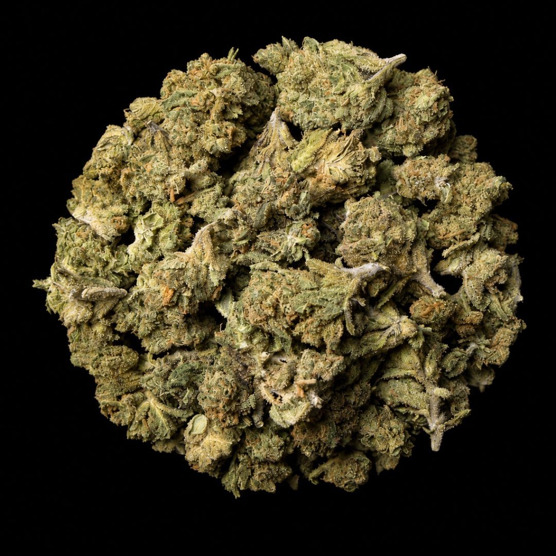 Lemon Cherry Gelato THCA Flower - Lost In Translation
