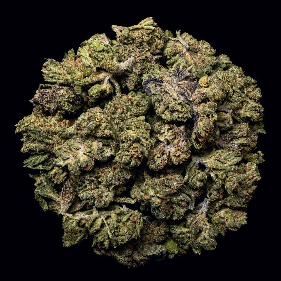 Grape Candy THCA Flower - Lost In Translation