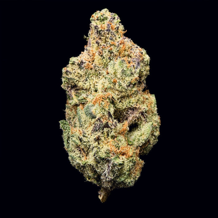 Bliss THCA Flower - Lost In Translation