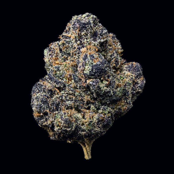 Blue Andies THCA Flower - Lost In Translation