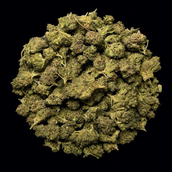 Cherry OG THCA Flower - Lost In Translation