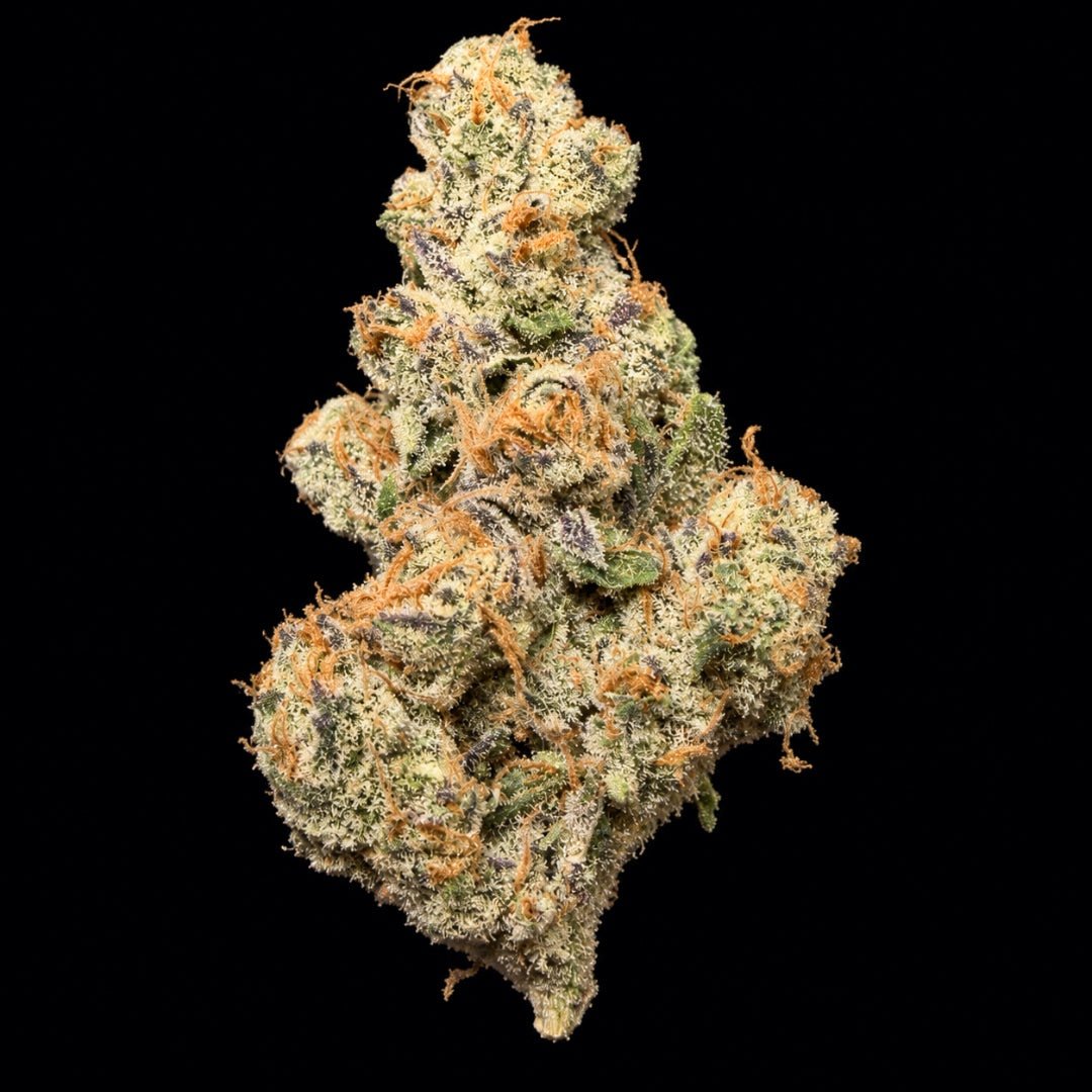 Fat Kitty THCA Flower - Lost In Translation
