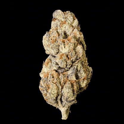 Fight Club THCA Flower - Lost In Translation