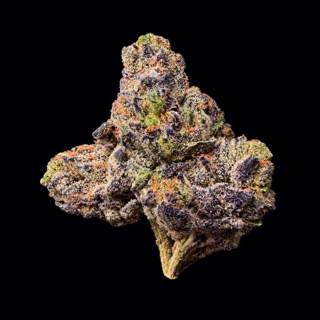 Formula One THCA Flower - Lost In Translation