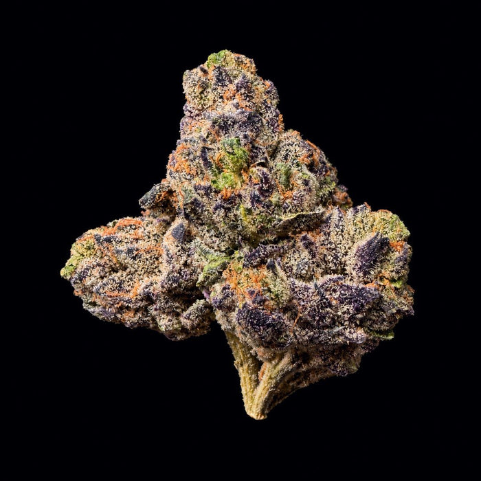 Formula One THCA Flower - Lost In Translation