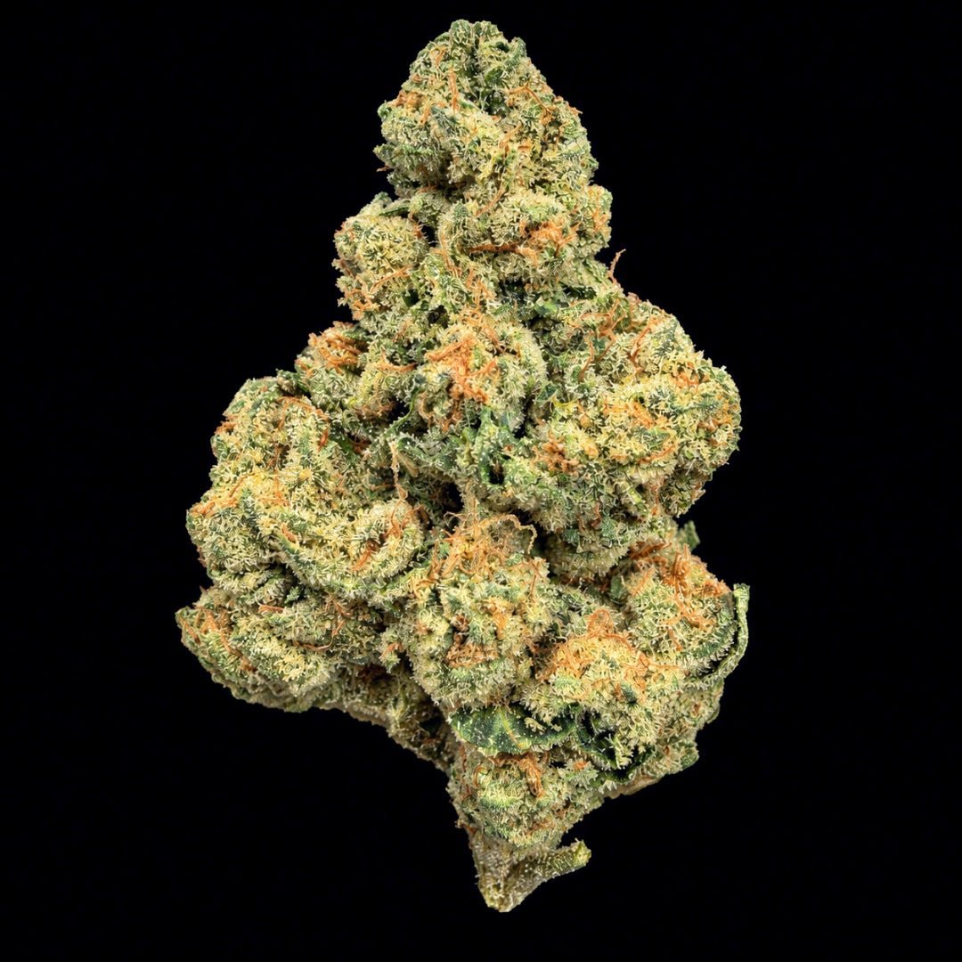 Frozen Lemonade THCA Flower - Lost In Translation