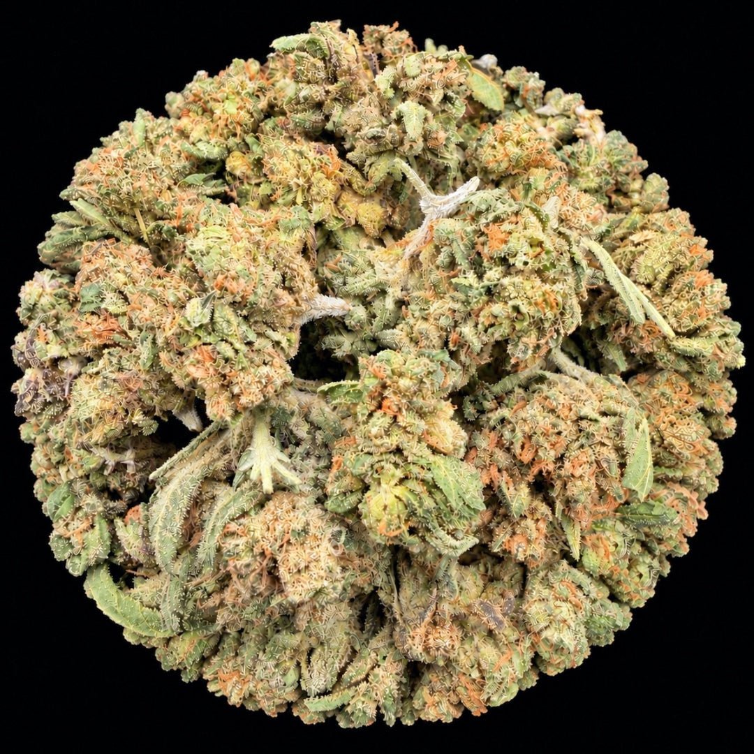 Garlic Sauce THCA Flower - Lost In Translation