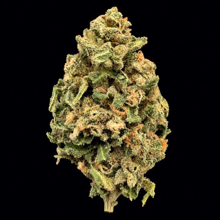 Gas Face THCA Flower